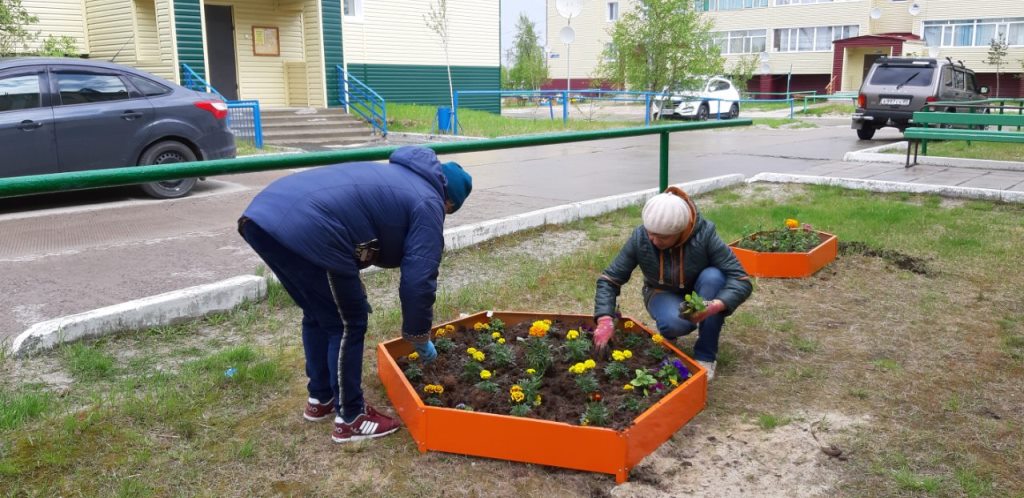 Приобретение уличных вазонов и цветочной рассады для квартала Школьный»
